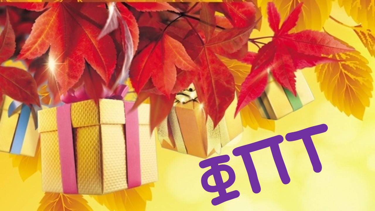 Осенний «урожай» призов